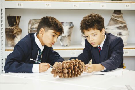 students drawing a pinecone